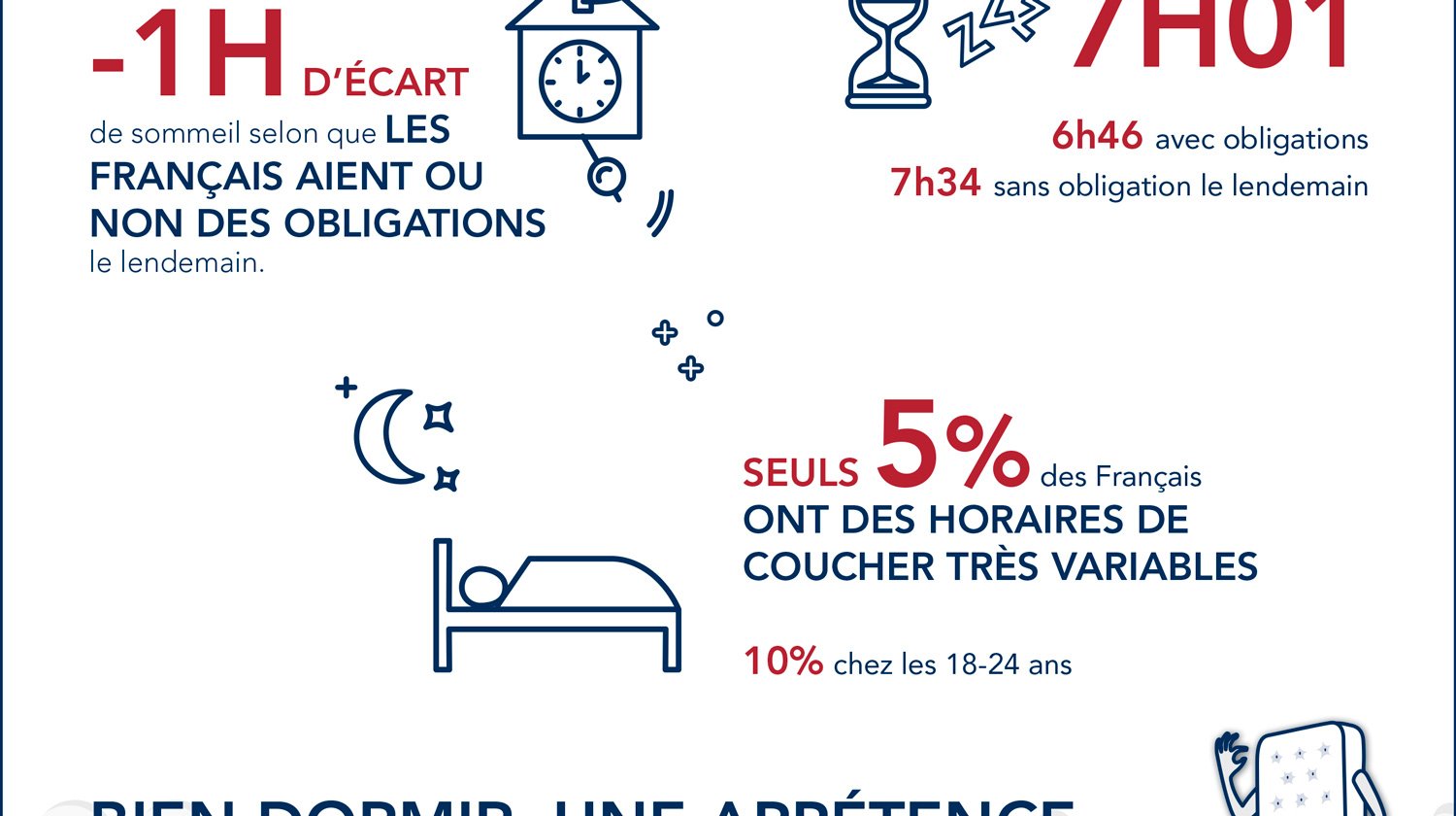 02-BULTEX-infographie-V4