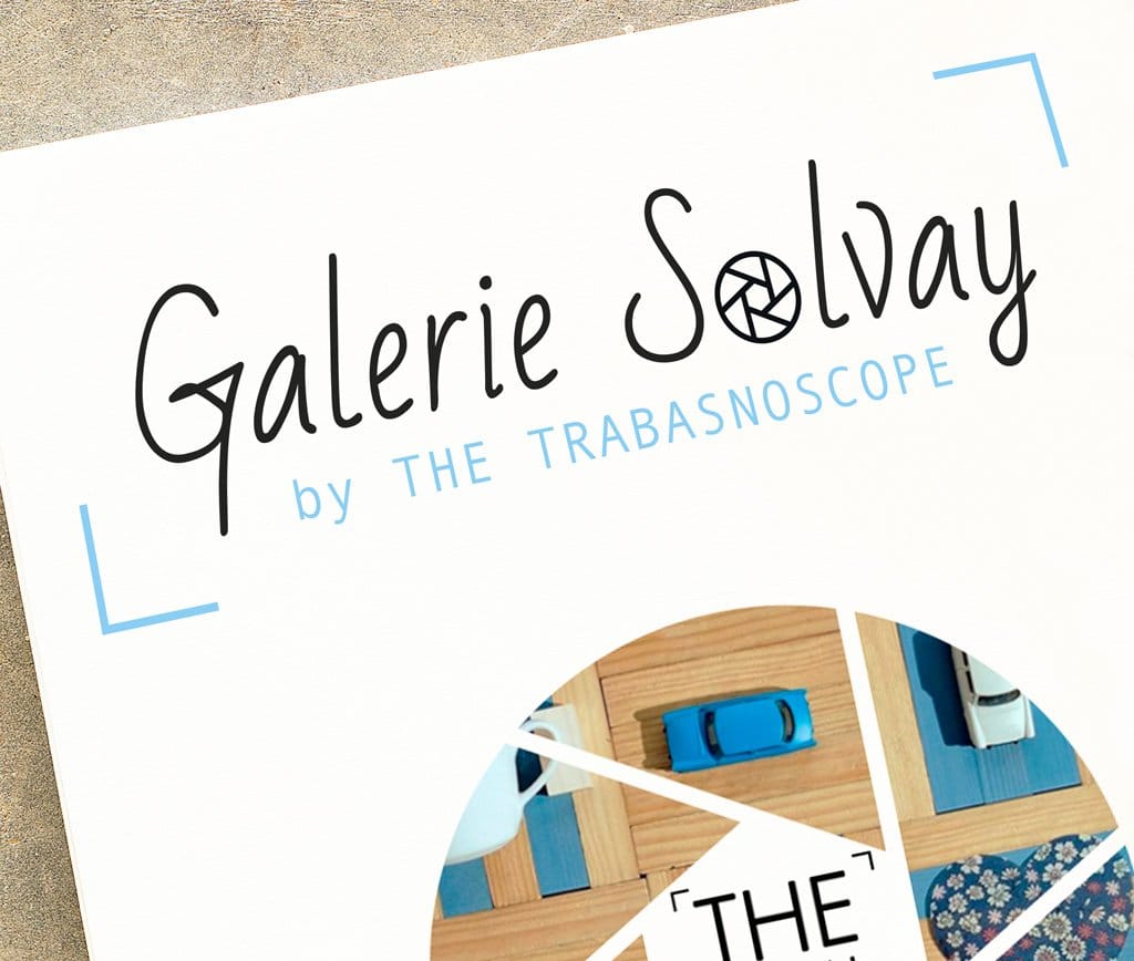 Page d'accueil du site Galerie Solvay · Identité et landing page, réalisé par Mooverflow