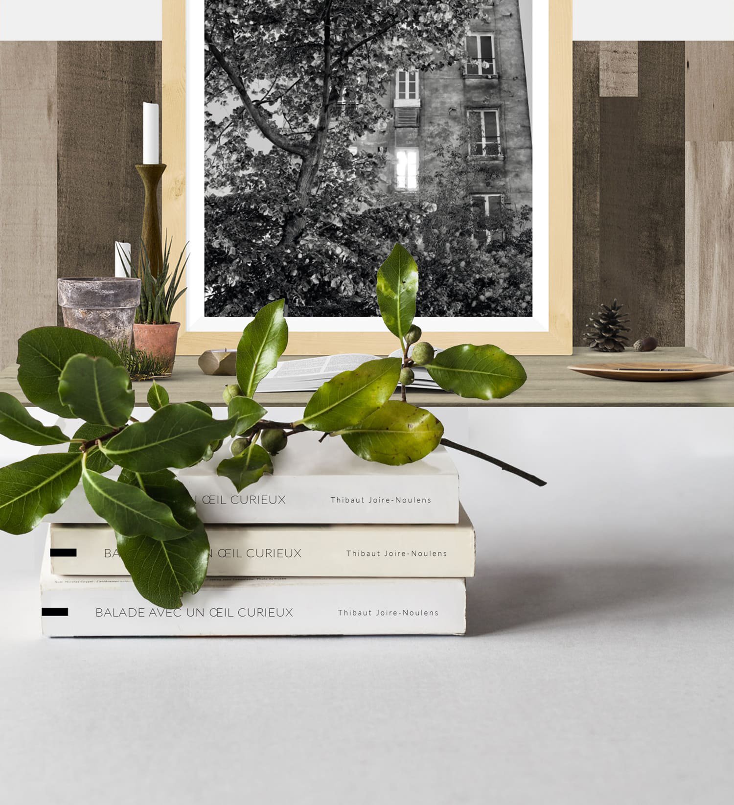 LIVRE « BALADE AVEC UN ŒIL CURIEUX » – LIBRAIRIE SOLVAY, réalisation Mooverflow