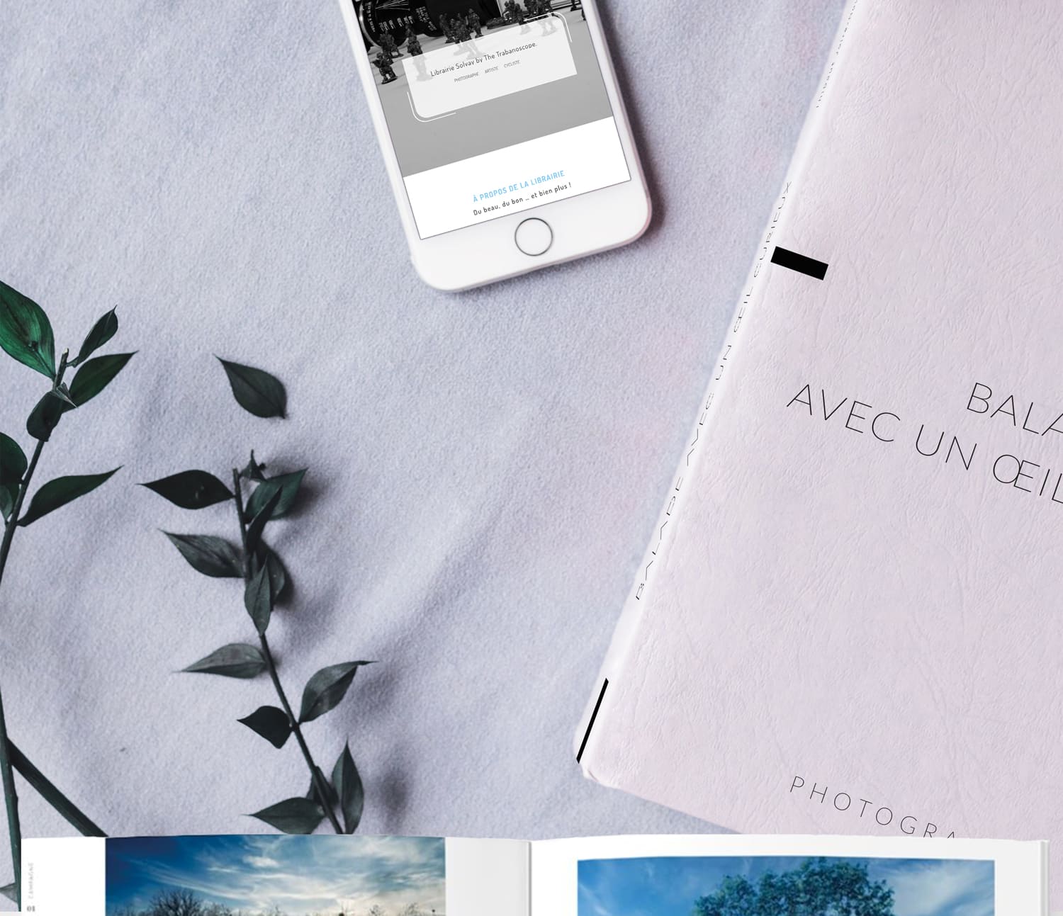 LIVRE « BALADE AVEC UN ŒIL CURIEUX » – LIBRAIRIE SOLVAY, réalisation Mooverflow
