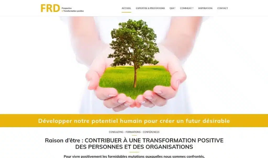 Page d'accueil du site FRD Conseil · Site internet, réalisé par Mooverflow