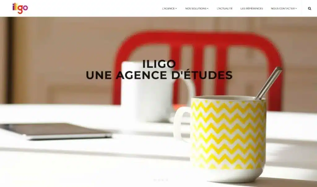 Page d'accueil du site Iligo · Site internet, réalisé par Mooverflow